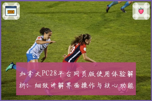 加拿大PC28平台网页版使用体验解析：细致讲解界面操作与核心功能亮点