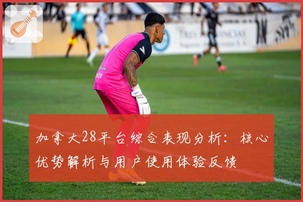 加拿大28平台综合表现分析：核心优势解析与用户使用体验反馈