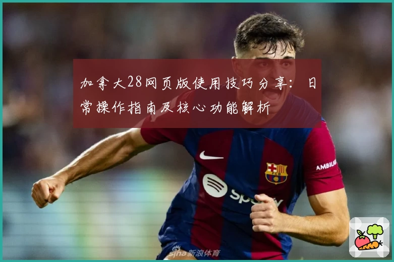 加拿大28网页版使用技巧分享：日常操作指南及核心功能解析