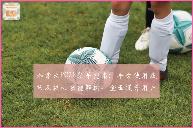 加拿大PC28新手指南：平台使用技巧及核心功能解析，全面提升用户操作体验