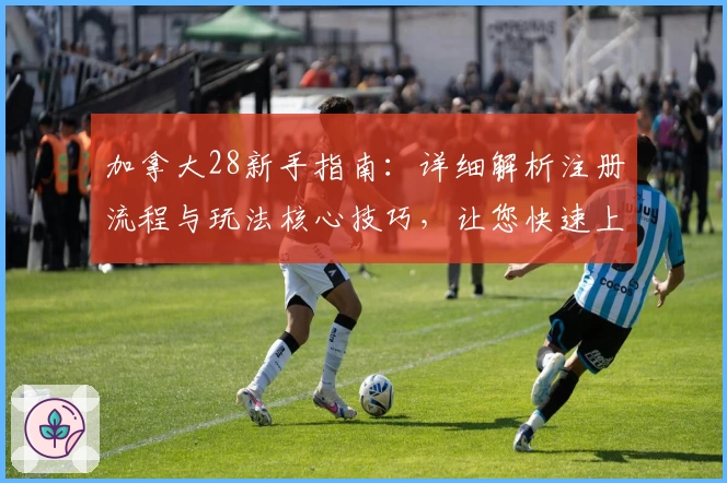 加拿大28新手指南：详细解析注册流程与玩法核心技巧，让您快速上手