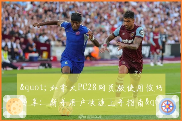 "加拿大PC28网页版使用技巧分享：新手用户快速上手指南"