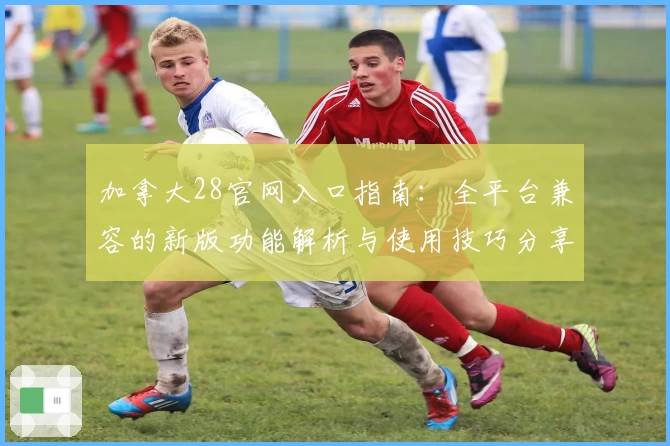 加拿大28官网入口指南:全平台兼容的新版功能解析与使用技巧分享