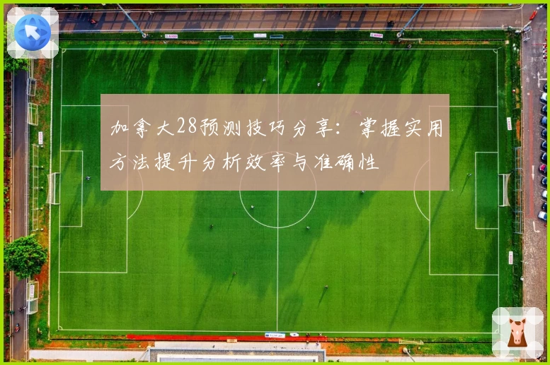加拿大28预测技巧分享：掌握实用方法提升分析效率与准确性
