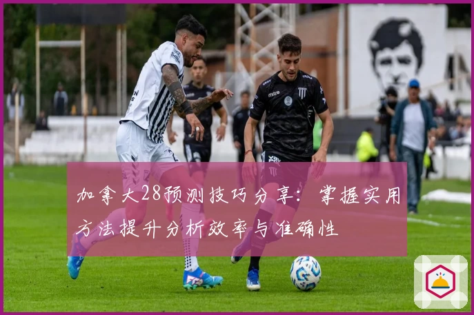 加拿大28预测技巧分享：掌握实用方法提升分析效率与准确性