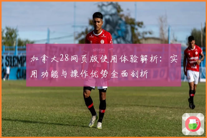 加拿大28网页版使用体验解析：实用功能与操作优势全面剖析
